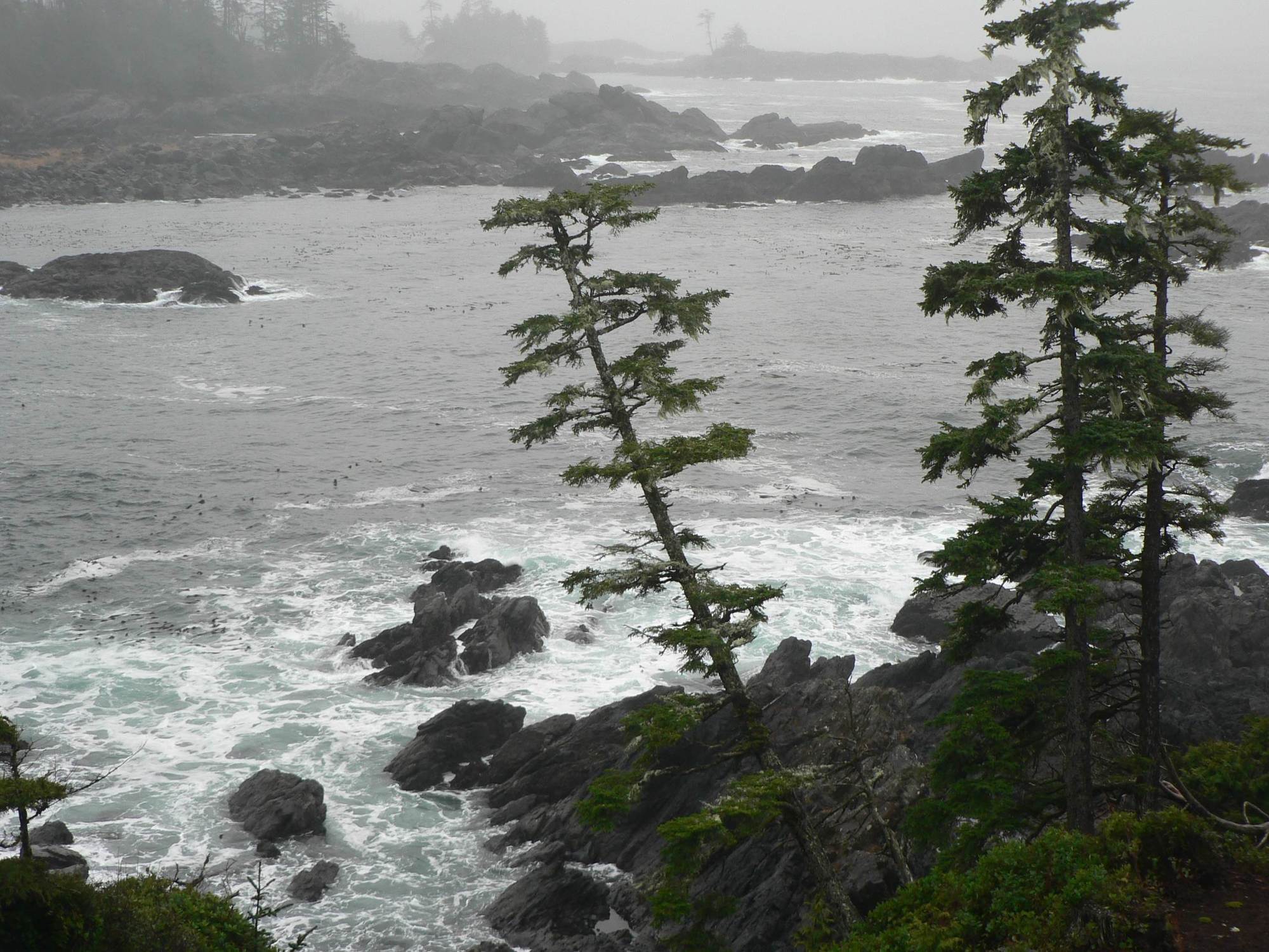 Black Rock Oceanfront Resort Ucluelet Bagian luar foto